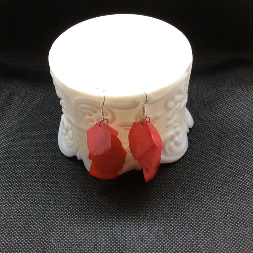 Fashion Earrings